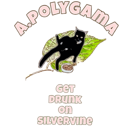 3bbb79bd 755a 45dc b6d6 82309bc05314 s