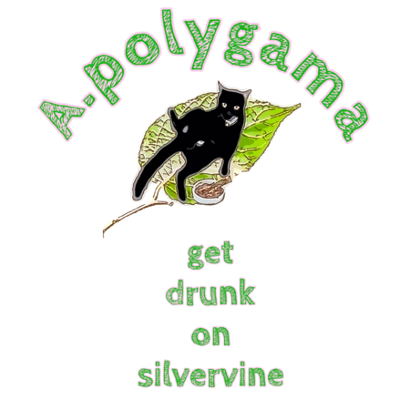 50bb1373 c363 43ec 9b71 eed305c0c9ff s