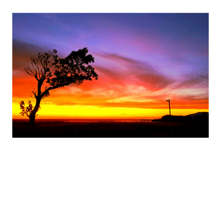 82485f9b f518 4a74 876a d99e4b425fa3 s