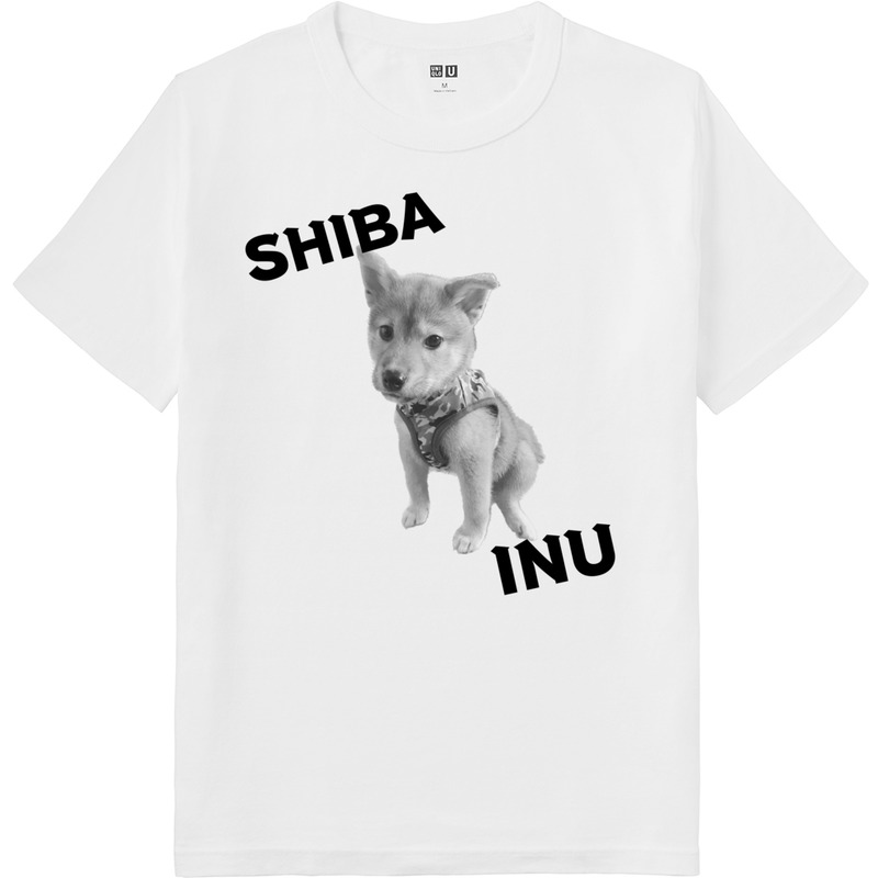 B7a1c9df a13c 4d29 bead 8e6141fd151d 64 print ll