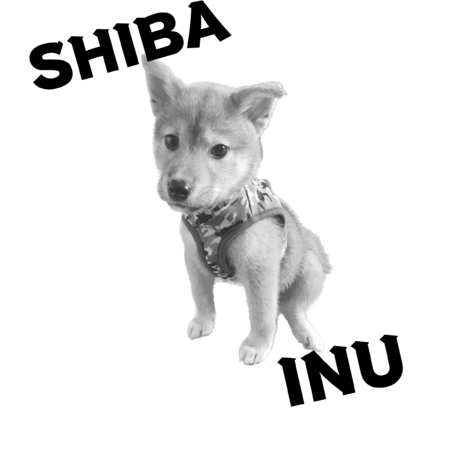 B7a1c9df a13c 4d29 bead 8e6141fd151d s