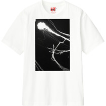 6455d11e dae2 4dd9 8be8 847334da2db7 110 print s