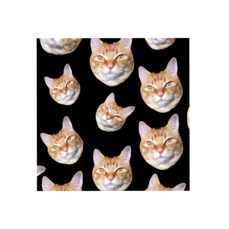 582d07a4 5653 4708 8331 137fe3070d41 s