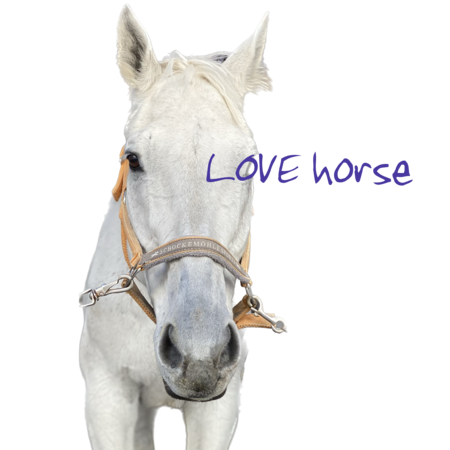 3754ab3d b667 4e02 aa98 4d7df2a9f748 s