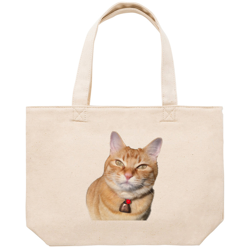 B07e0840 d200 4170 9786 63db56ee24fd 53 print ll