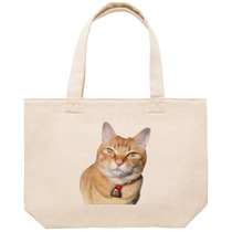 B07e0840 d200 4170 9786 63db56ee24fd 53 print s