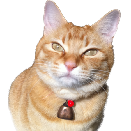 B07e0840 d200 4170 9786 63db56ee24fd s