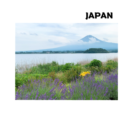 A51d3789 4775 45d5 8f62 9fdb80e53e03 s