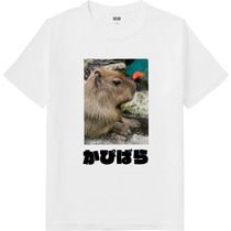 62726347 e02c 4b04 b05b 16d8f9a86068 64 print s