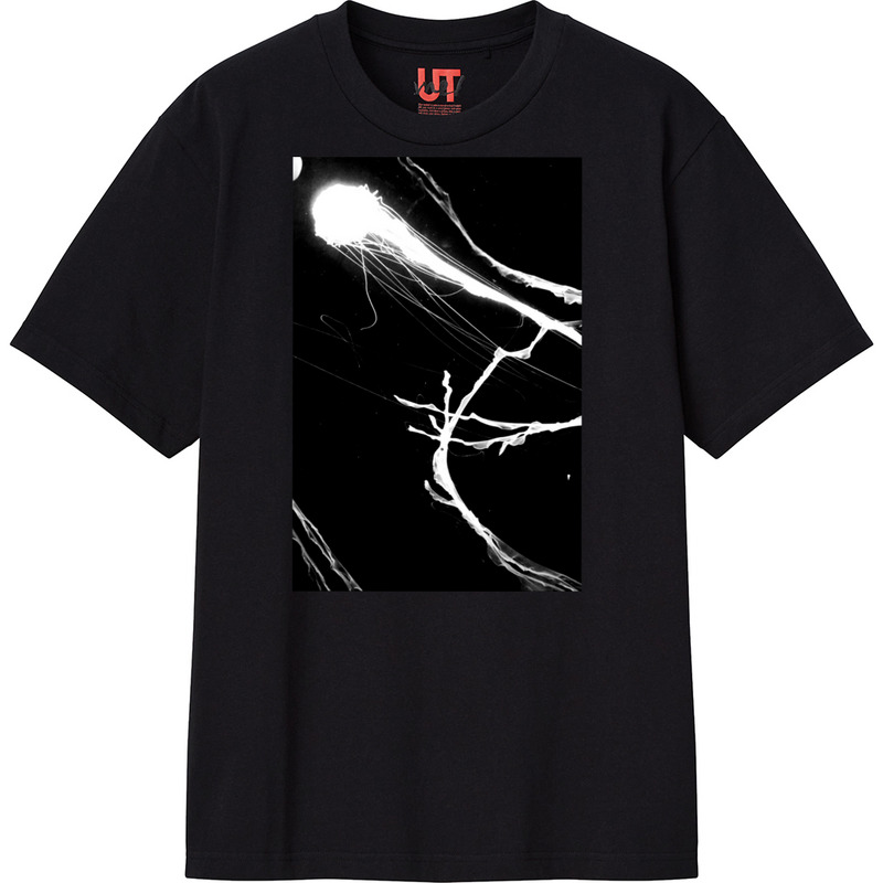 D1bc06e4 d6fe 40f0 9ce2 1346a42524aa 111 print ll