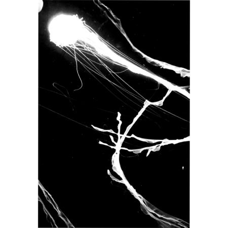 D1bc06e4 d6fe 40f0 9ce2 1346a42524aa s