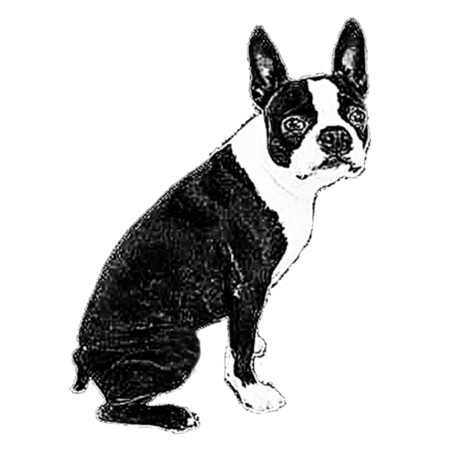 Aa301a2a b4a2 4a0c b314 6be5fd8a33fc s