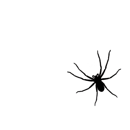 51117ceb cbc5 4e94 abfc 5532a30794fd s