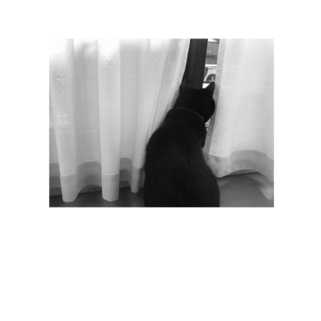 44a50b0e bc34 42ca b780 e56627ca7426 s