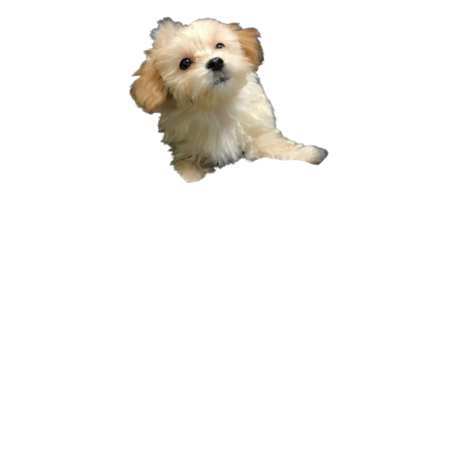 3ca521d7 396a 4056 a960 99cf5c852d0b s