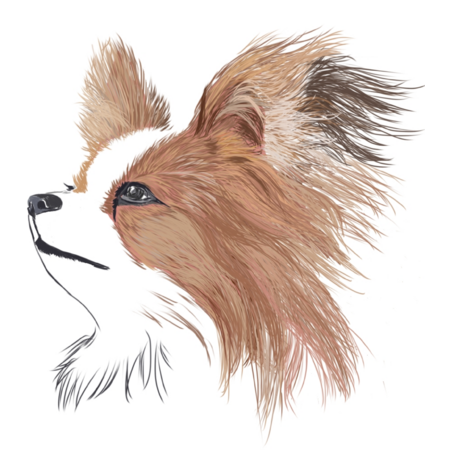 95956058 6c0b 43e0 bdff 50674f8f0b54 s