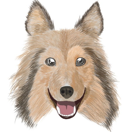 701f6a6c 82eb 4189 9d7e 2eb48f05adab s