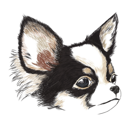 4ab9b354 f328 40fa ad9c 28736dddfe90 s