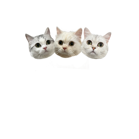 15d800cf a9d4 439b a574 20a8735b9892 s