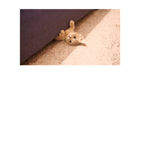 2d570021 ee61 4884 a18b ef7dac3301ce s