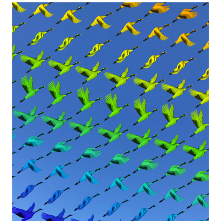 40d07dfc 5886 4305 bd3d 2b7a8831a189 s