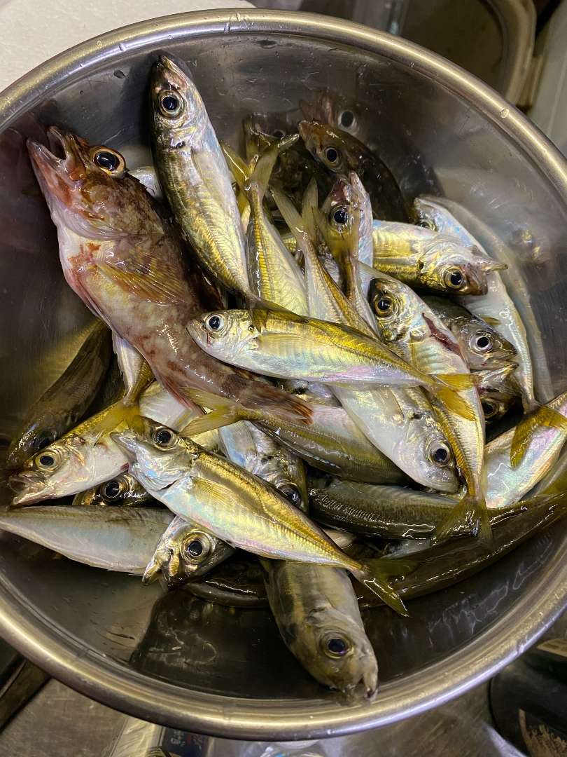 暑い日が続きますね 福岡市南区の足場工事は株式会社創成にお任せください