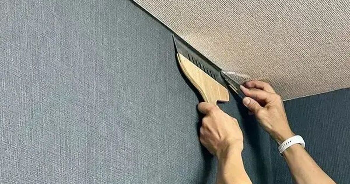 仕事の写真