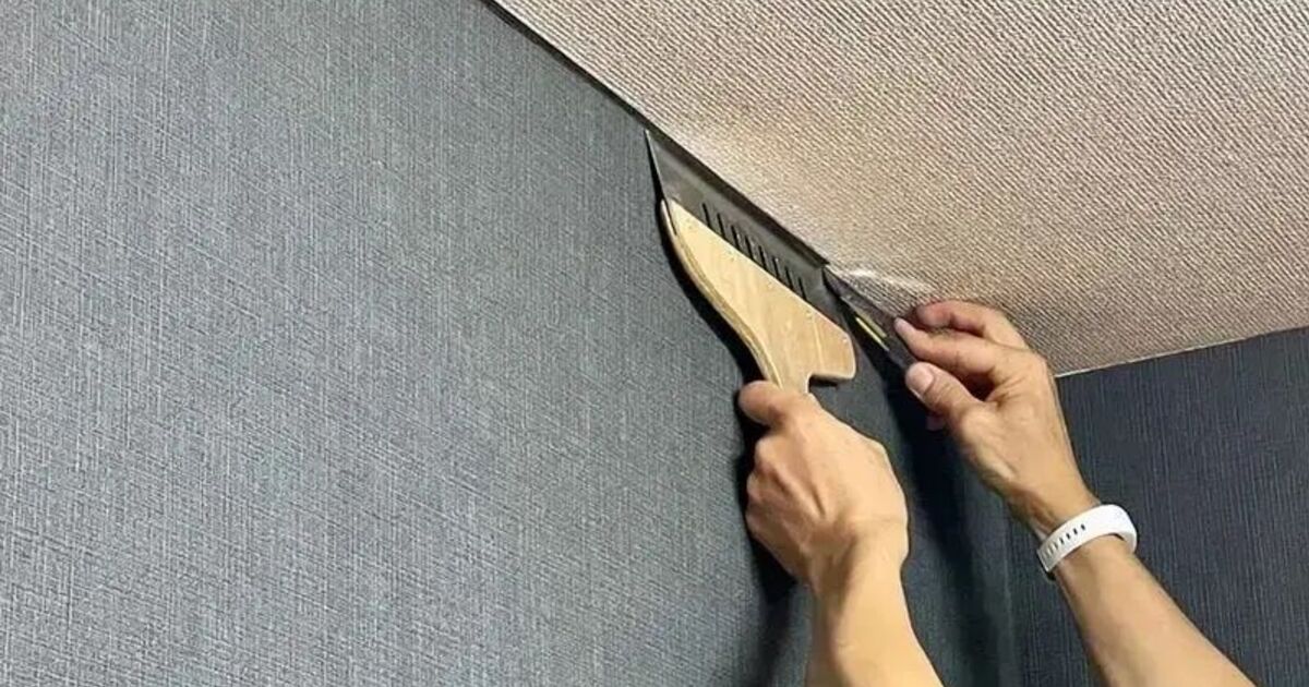 仕事の写真