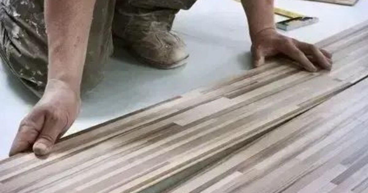 仕事の写真