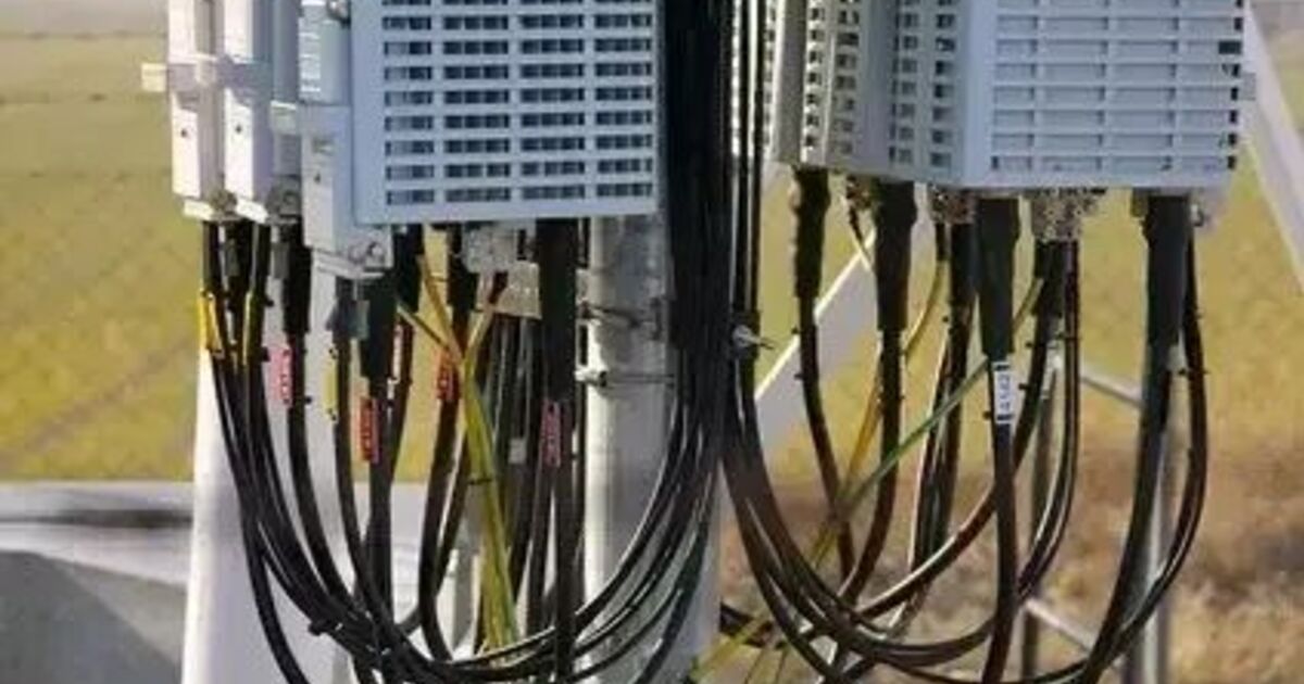仕事の写真