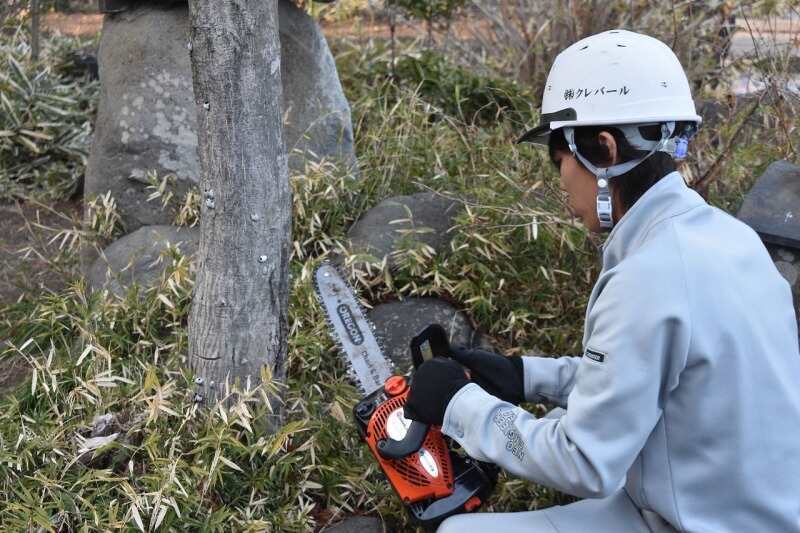 仕事の写真
