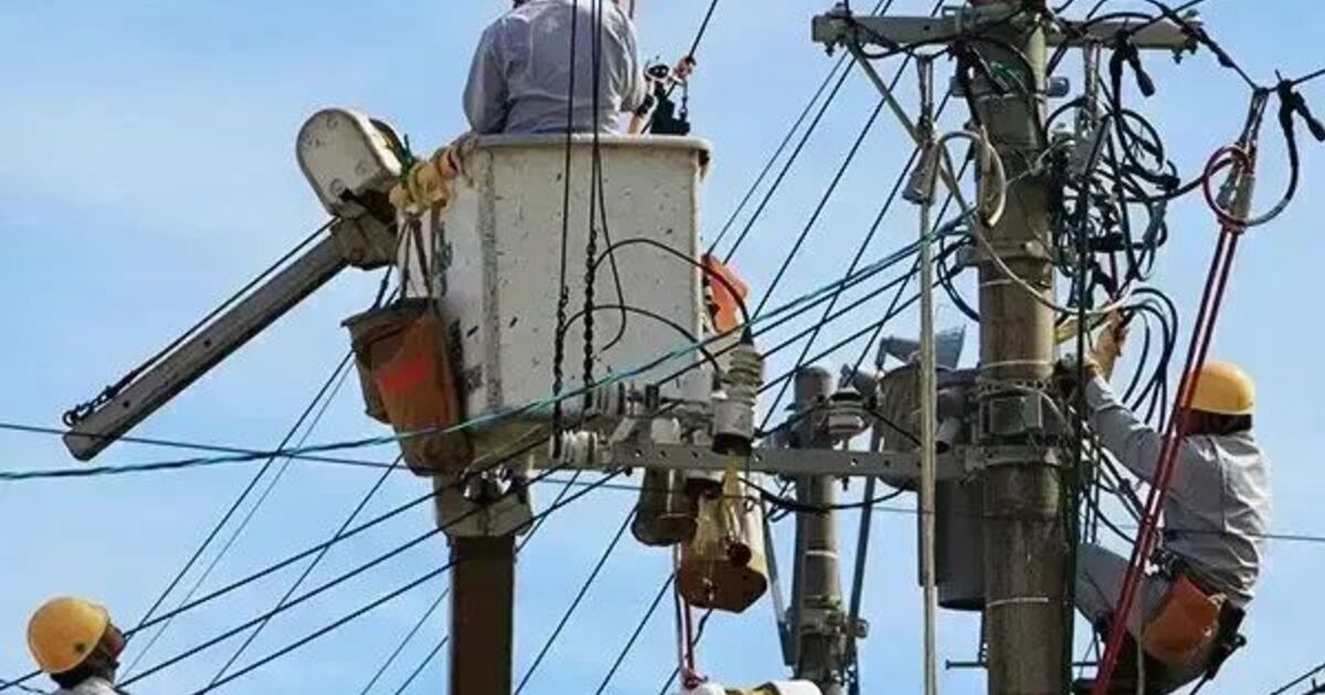 仕事の写真