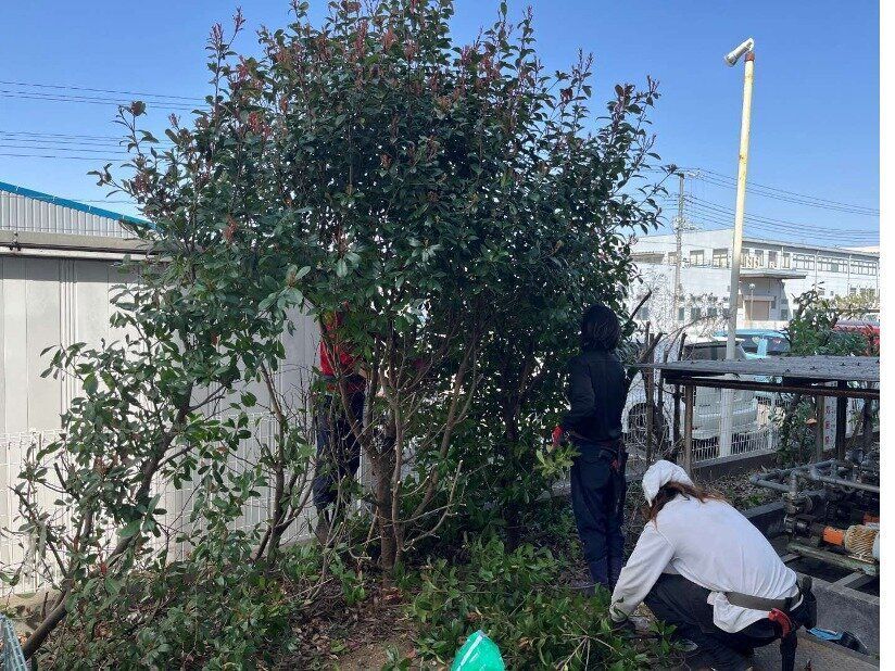 メインビジュアル