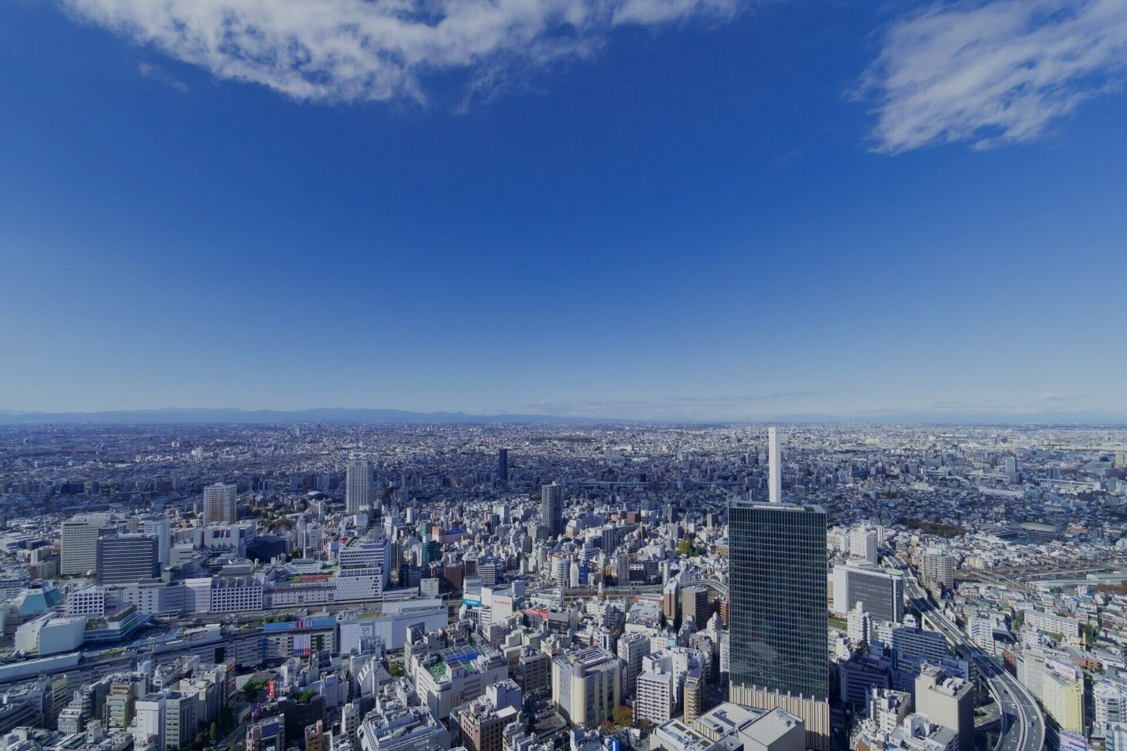 株式会社 ヤマダイ