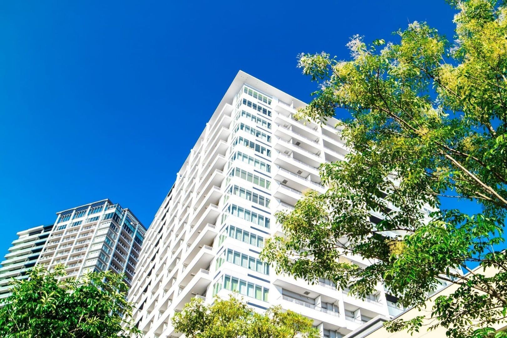 有限会社プチマロクリーン商事