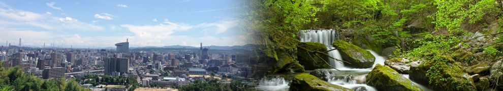 企業のメイン画像