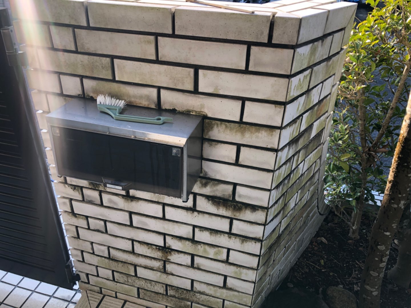 苔の除去 戸建ての施工事例 長崎市のハウスクリーニングは有限会社プロクリーン長崎