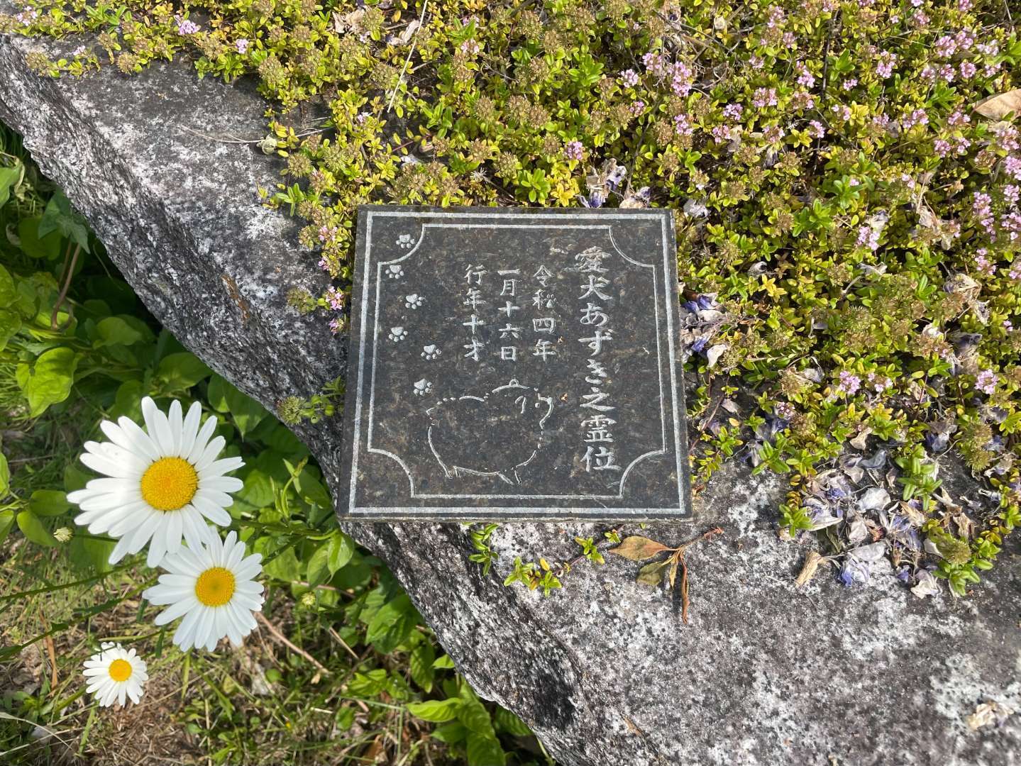 福島県福島市 ペット 愛犬 メモリアルプレート 位牌プレート フル