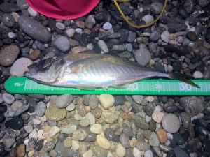 東部フロートアジ開幕！