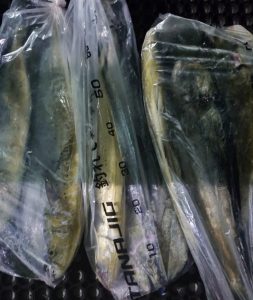 中古入荷情報