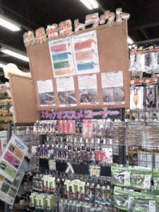 琵琶湖のほとりで「マス」を叫ぶ！？トラウトコーナーリニューアル完了！