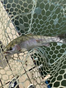 春はまだですか？　in嵐山フィッシングエリア