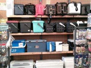 新品入荷情報＆レイアウト変更！