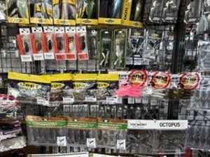 新品入荷情報