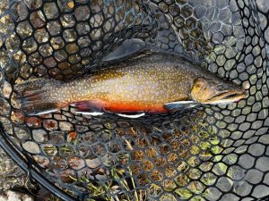 2026年初釣りはココッ！！【那須白河フォレストスプリングス】