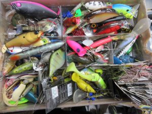 中古ﾊﾞｽﾙｱｰ大量に入荷!?