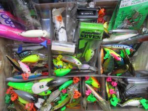 いーーーーっぱい＼(｀^´)/