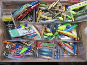 い”－－－っぱい＼(｀^´)/