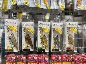 ヴァルケイン　シャインライド70入荷