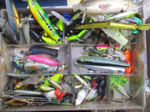 中古ﾙｱｰ入荷